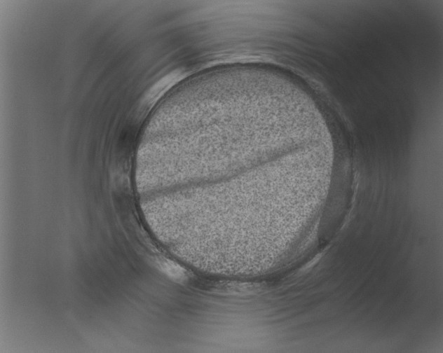 X0000076031273200610201818