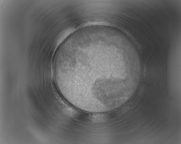 X0000076031274200610201817