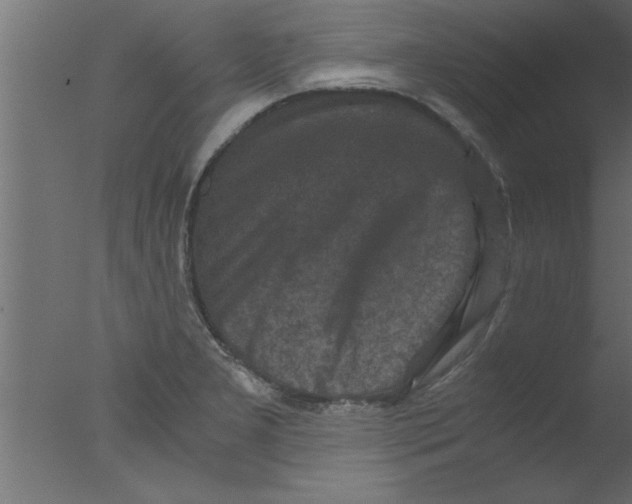 X0000076031277200610201817