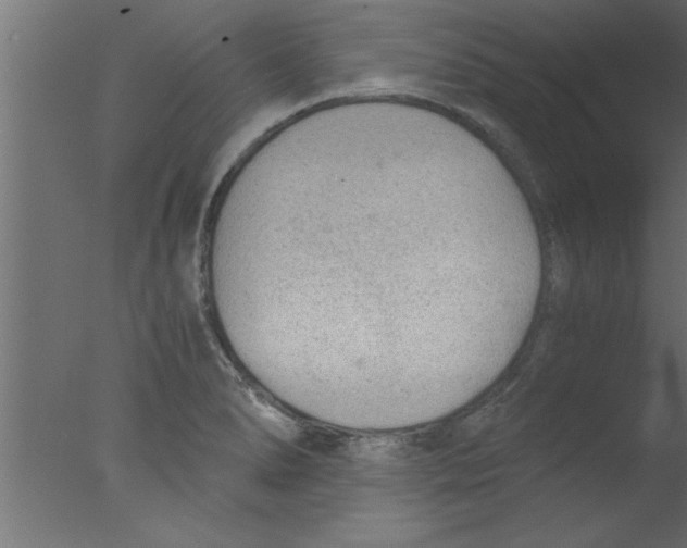 X0000076031278200610201817