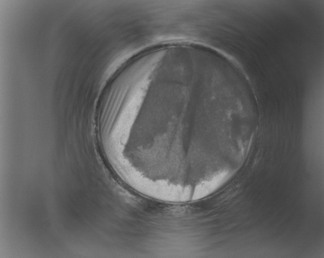 X0000076031279200610201817