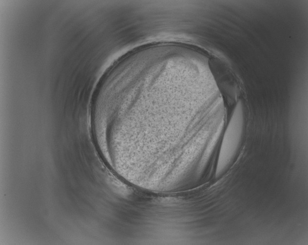 X0000076031280200610201817