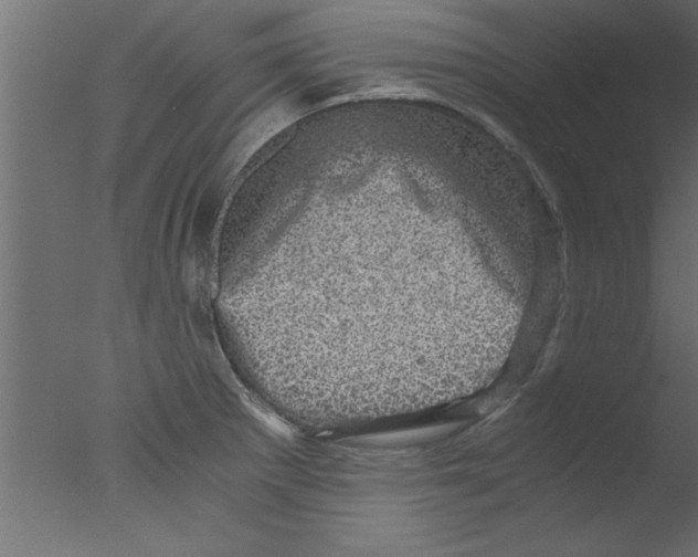 X0000076031281200610201817