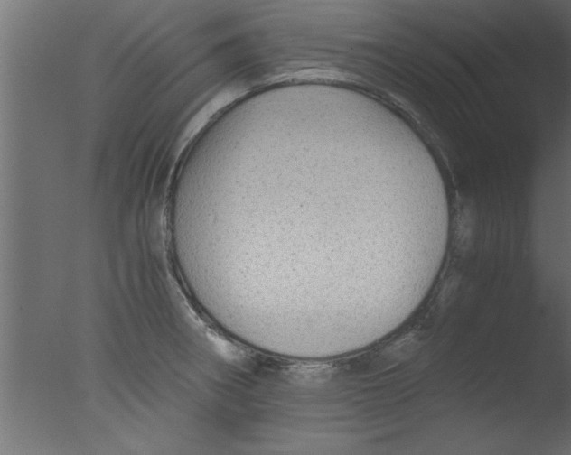 X0000076031282200610201817