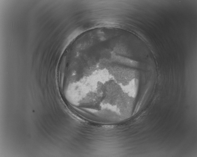 X0000076031283200610201817