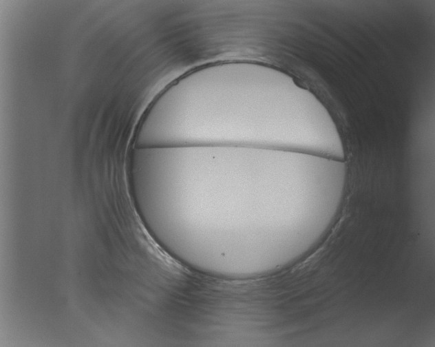 X0000076031284200610201817