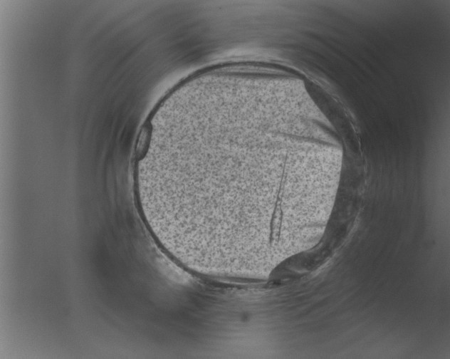 X0000076031288200610201817