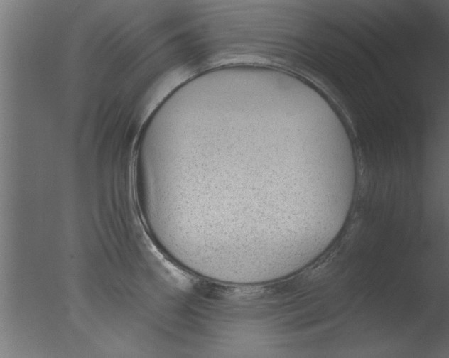 X0000076031290200610201817