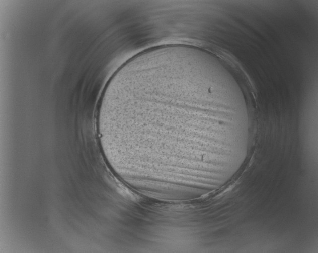 X0000076031292200610201817