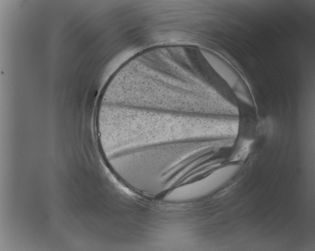 X0000076031293200610201817