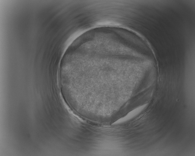 X0000076031295200610201817