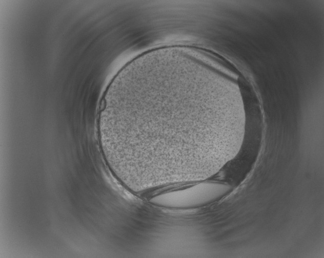 X0000076031296200610201817