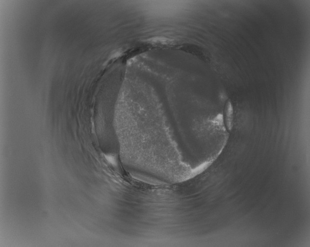 X0000076031297200610201816