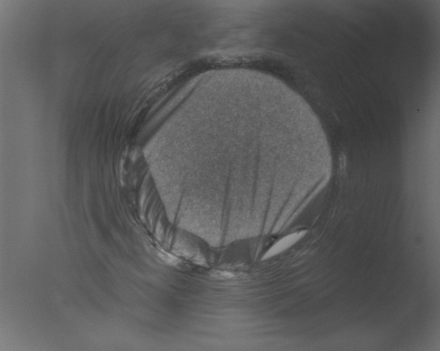 X0000076031300200610201816