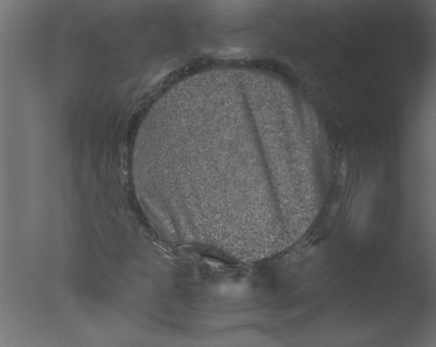 X0000076031301200610201816