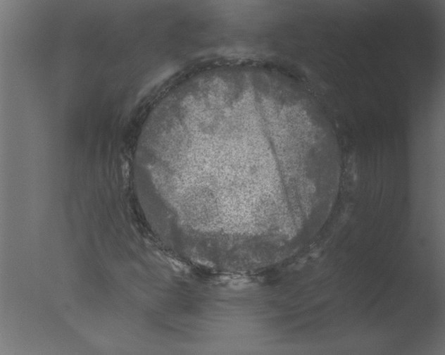 X0000076031302200610201816