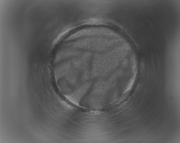 X0000076031304200610201816