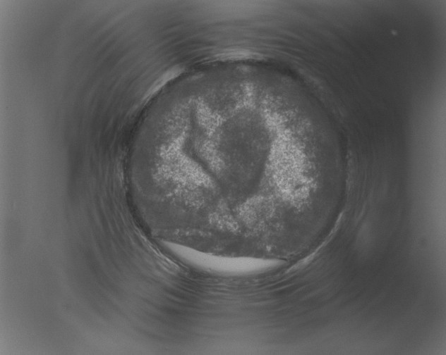 X0000076031305200610201816