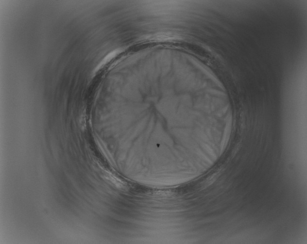 X0000076031306200610201816