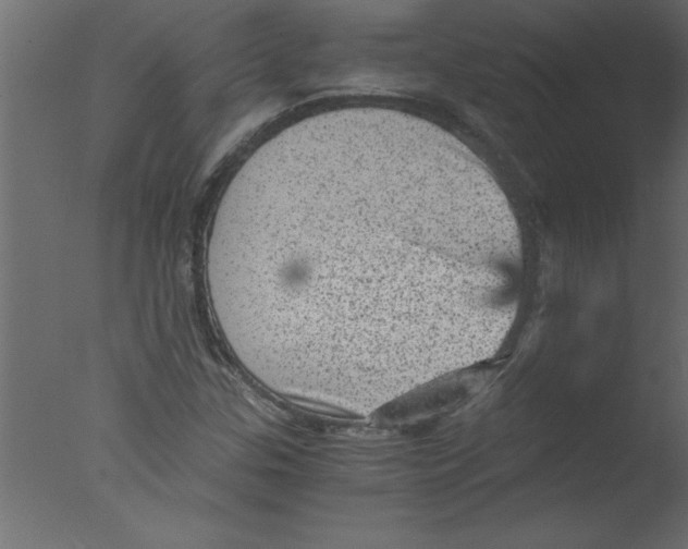 X0000076031307200610201816