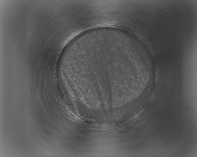 X0000076031308200610201817