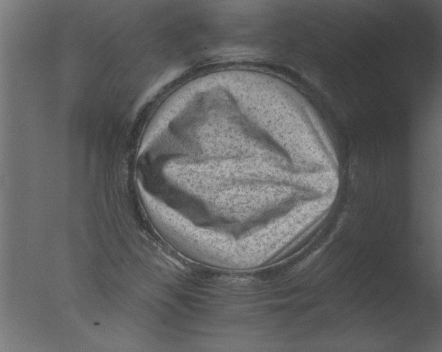 X0000076031309200610201817