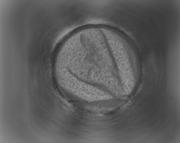 X0000076031311200610201817