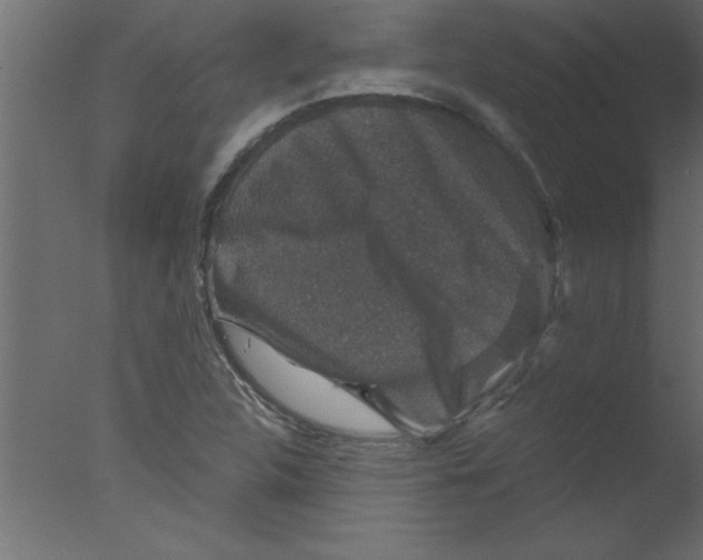 X0000076031312200610201817