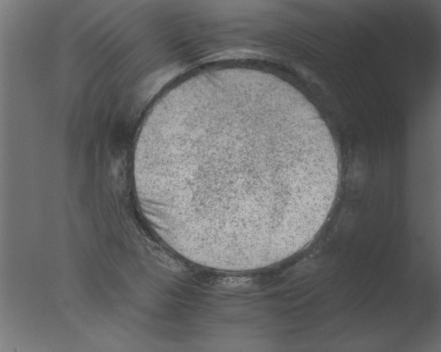 X0000076031313200610201817