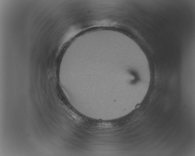 X0000076031315200610201817