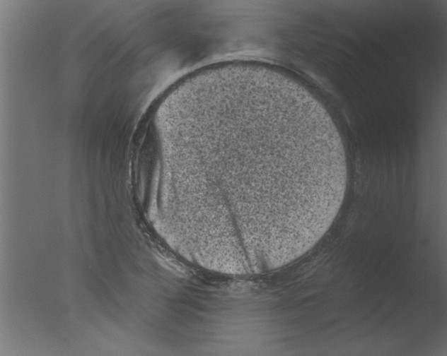 X0000076031316200610201817