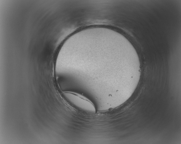 X0000076031317200610201817