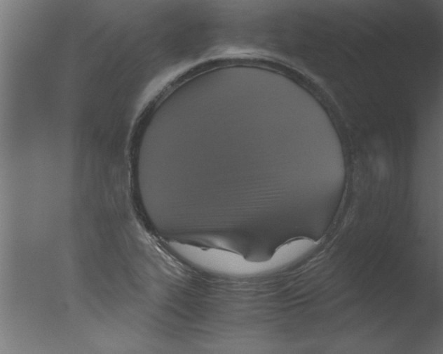 X0000076031319200610201817