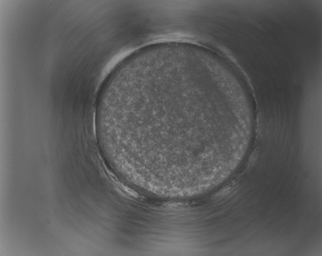 X0000076031320200610201817