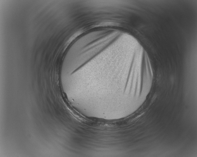 X0000076031321200610201817