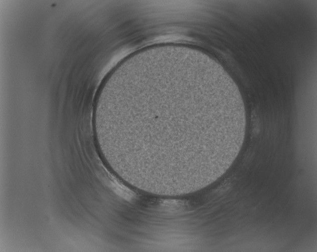 X0000076031322200610201817