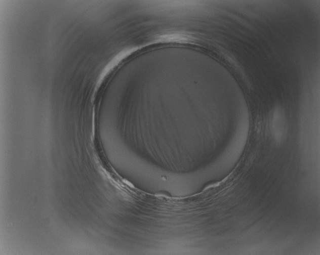 X0000076031323200610201817