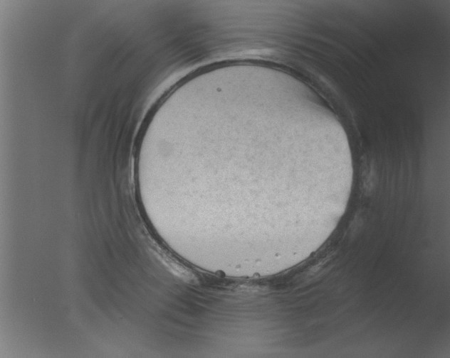 X0000076031324200610201817