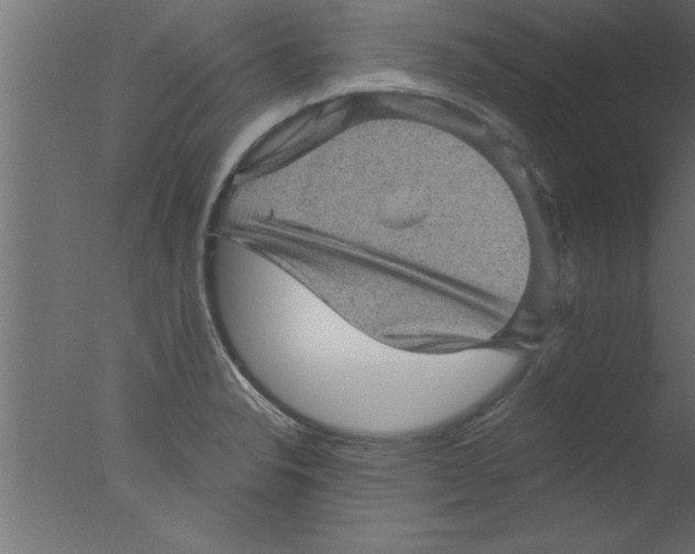 X0000076031326200610201817