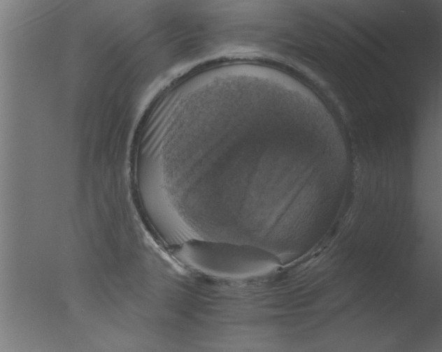 X0000076031327200610201817