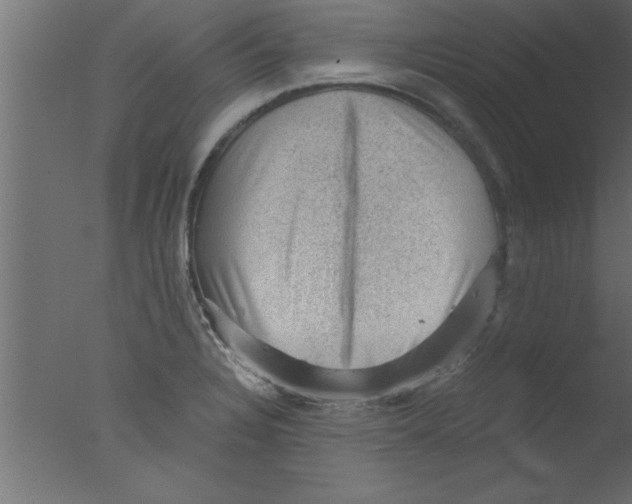 X0000076031328200610201817