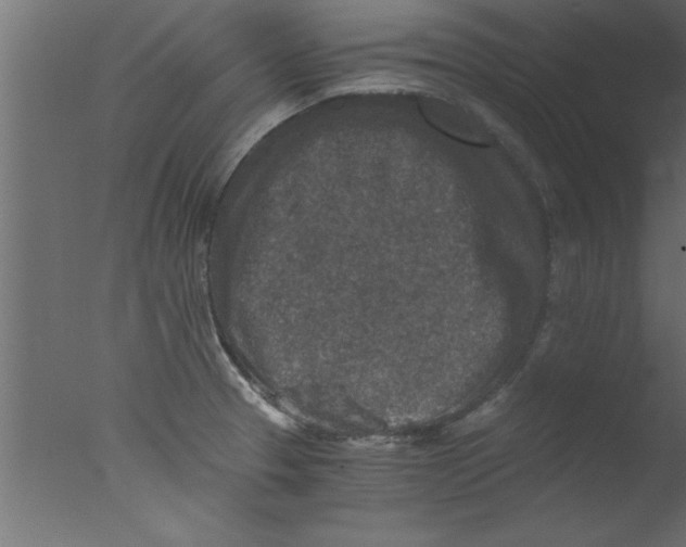 X0000076031329200610201817