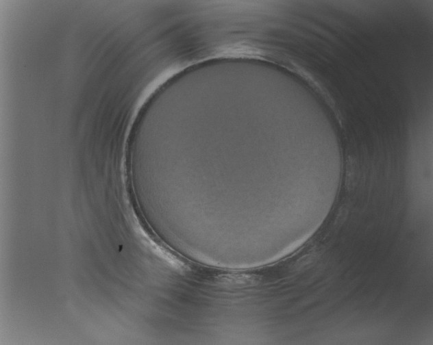 X0000076031331200610201817