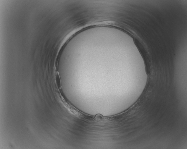 X0000076031332200610201817