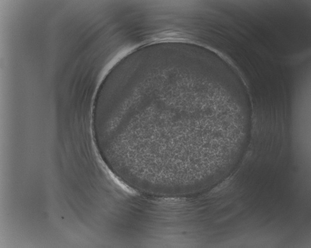 X0000076031333200610201817