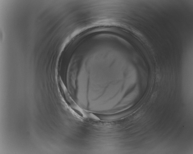 X0000076031334200610201817