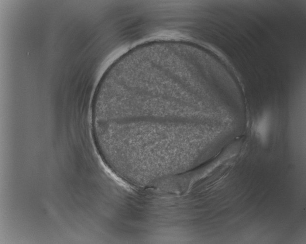 X0000076031335200610201817