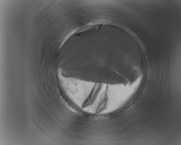 X0000076031337200610201817