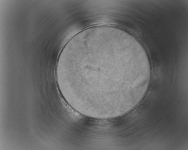 X0000076031338200610201817