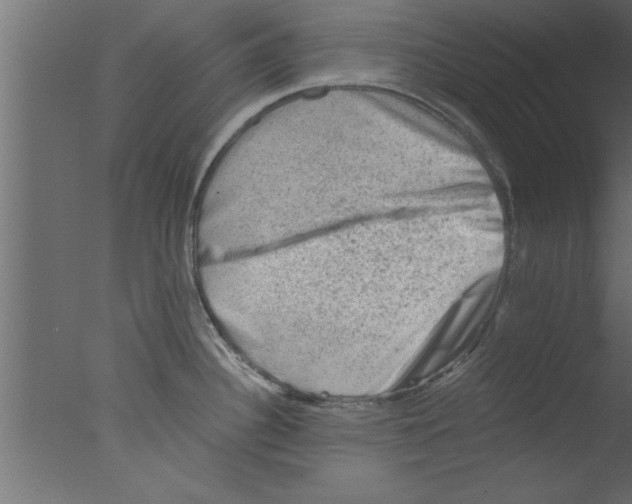 X0000076031340200610201817